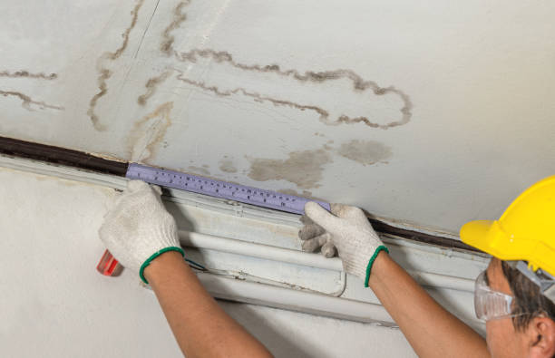 Reliable Mold Remediation contractor in Mounds, OK by Local Water Damage Repair